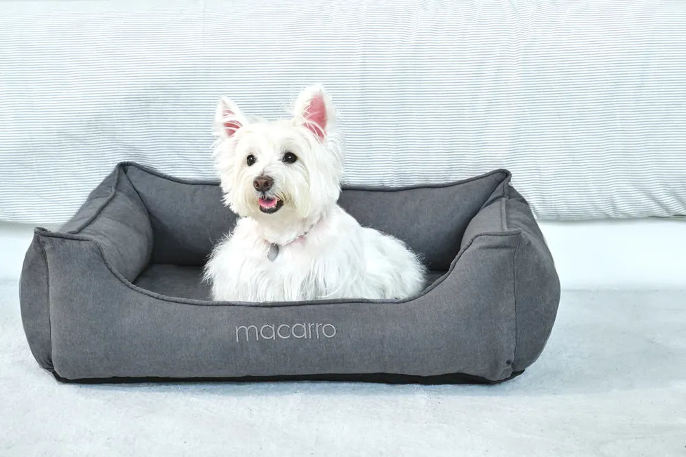 macarro Velvet Pet Bed with LATEX Mattress