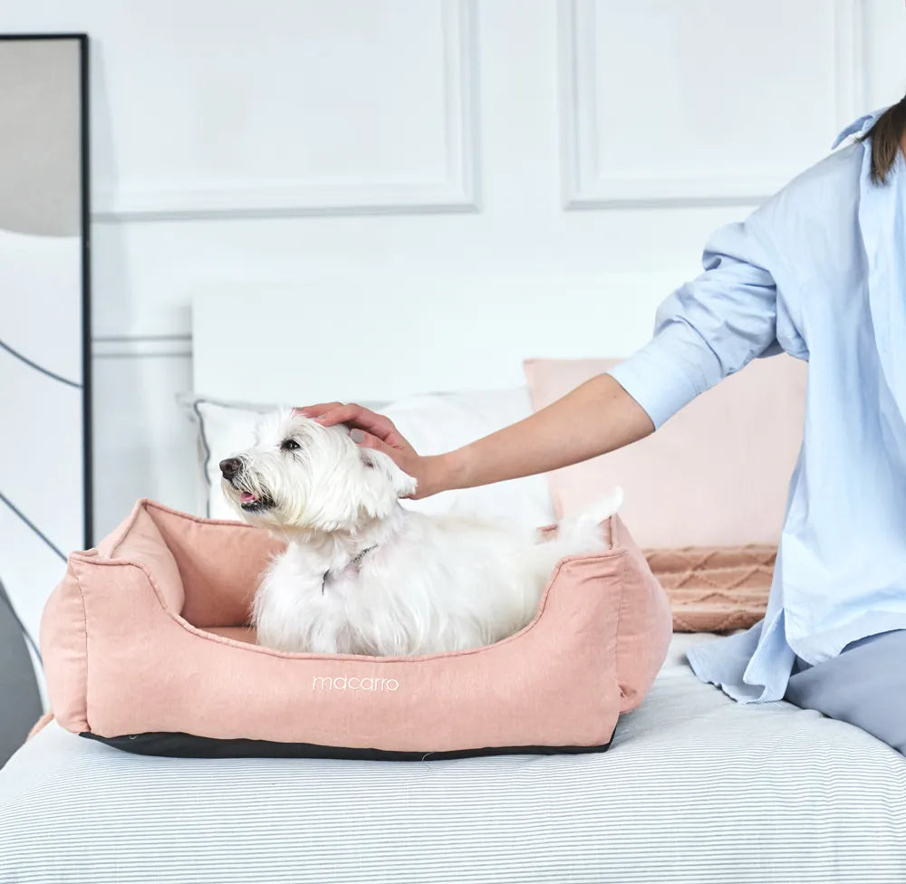 macarro Velvet Pet Bed with LATEX Mattress