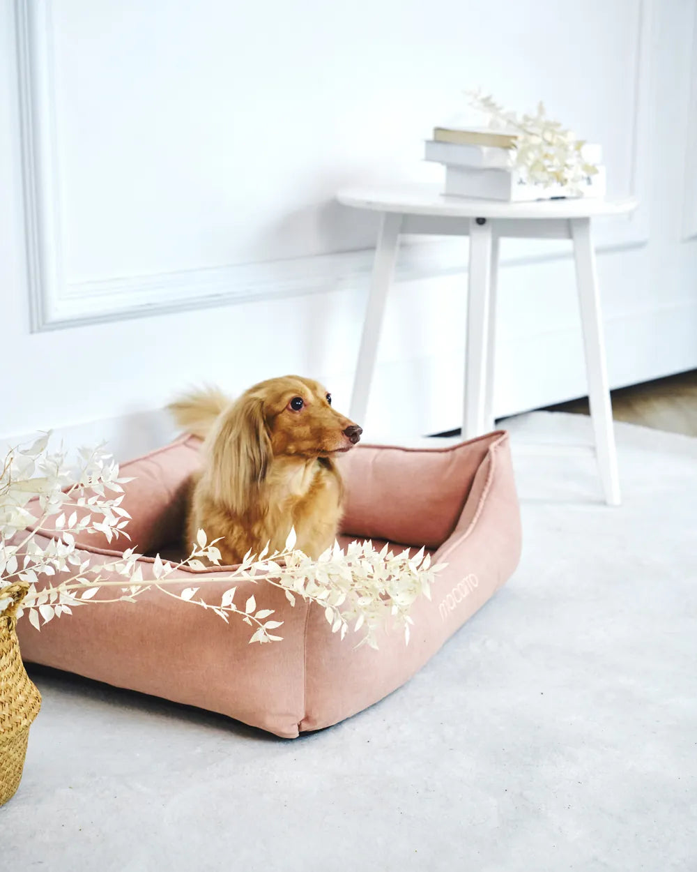 macarro Velvet Pet Bed with LATEX Mattress