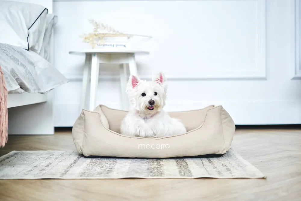 macarro Velvet Pet Bed with LATEX Mattress