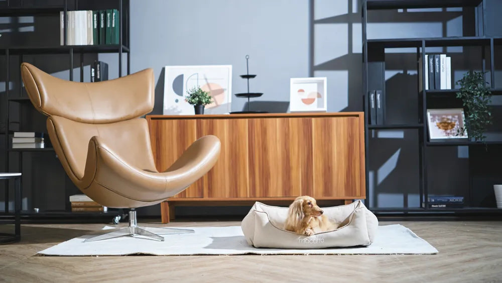 macarro Velvet Pet Bed with LATEX Mattress