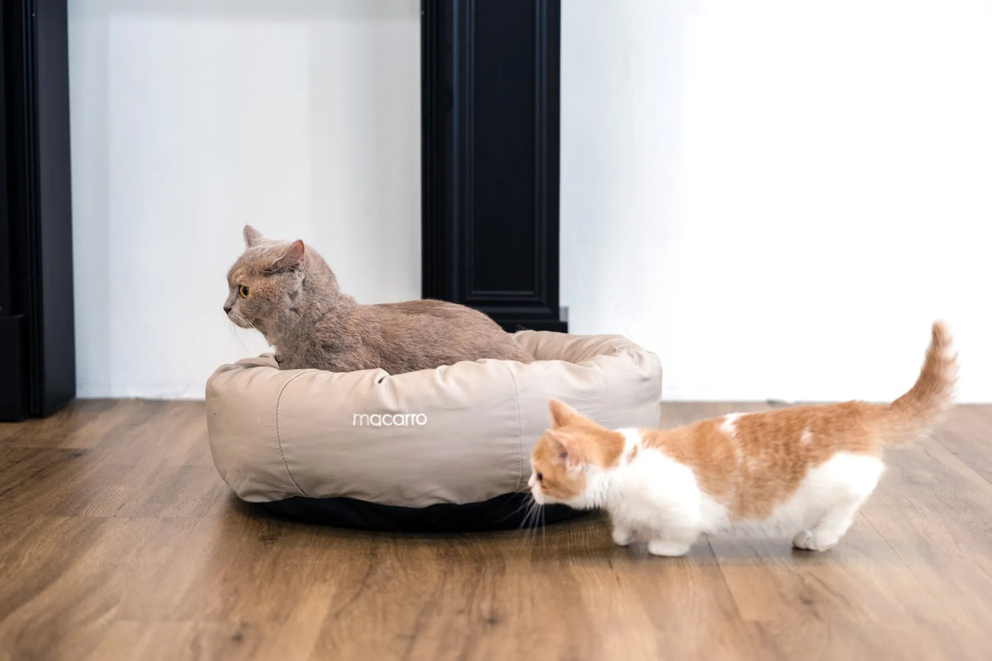 macarro Donut Pet Bed with LATEX Mattress