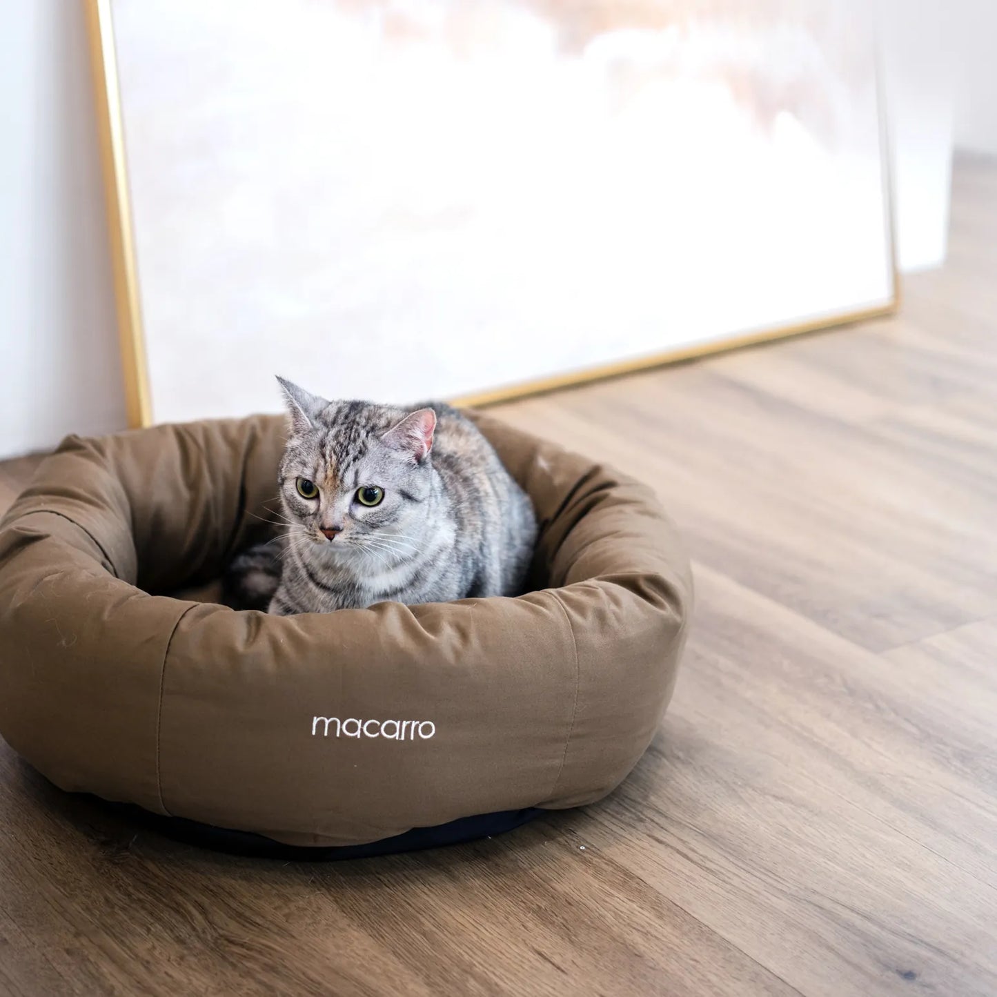 macarro Donut Pet Bed with LATEX Mattress