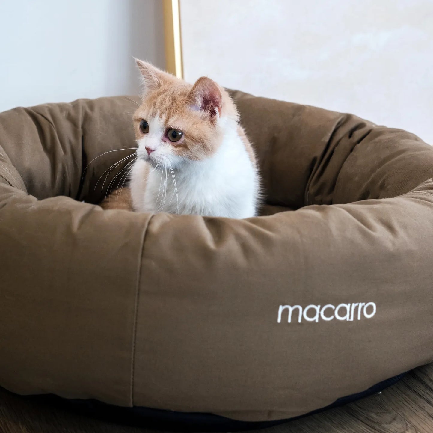 macarro Donut Pet Bed with LATEX Mattress