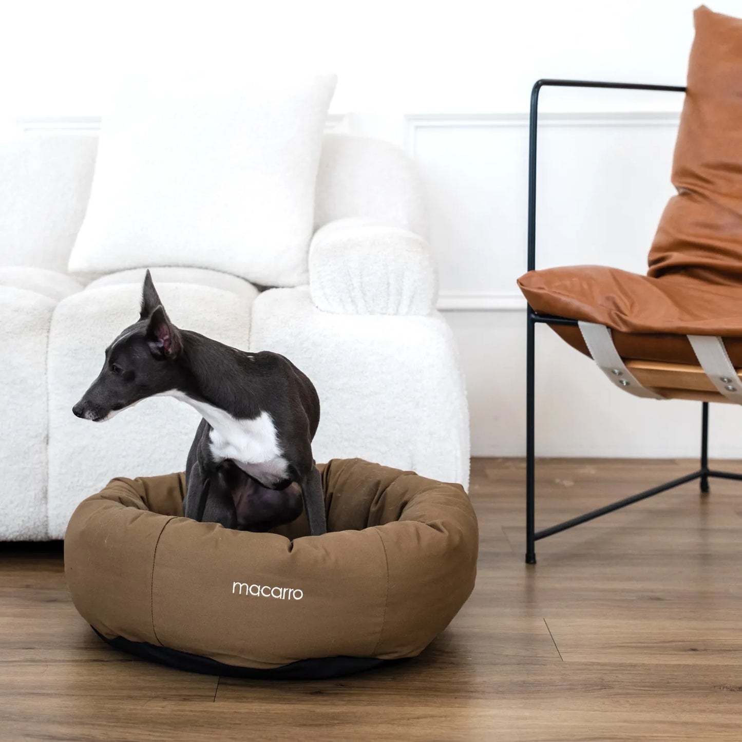 macarro Donut Pet Bed with LATEX Mattress