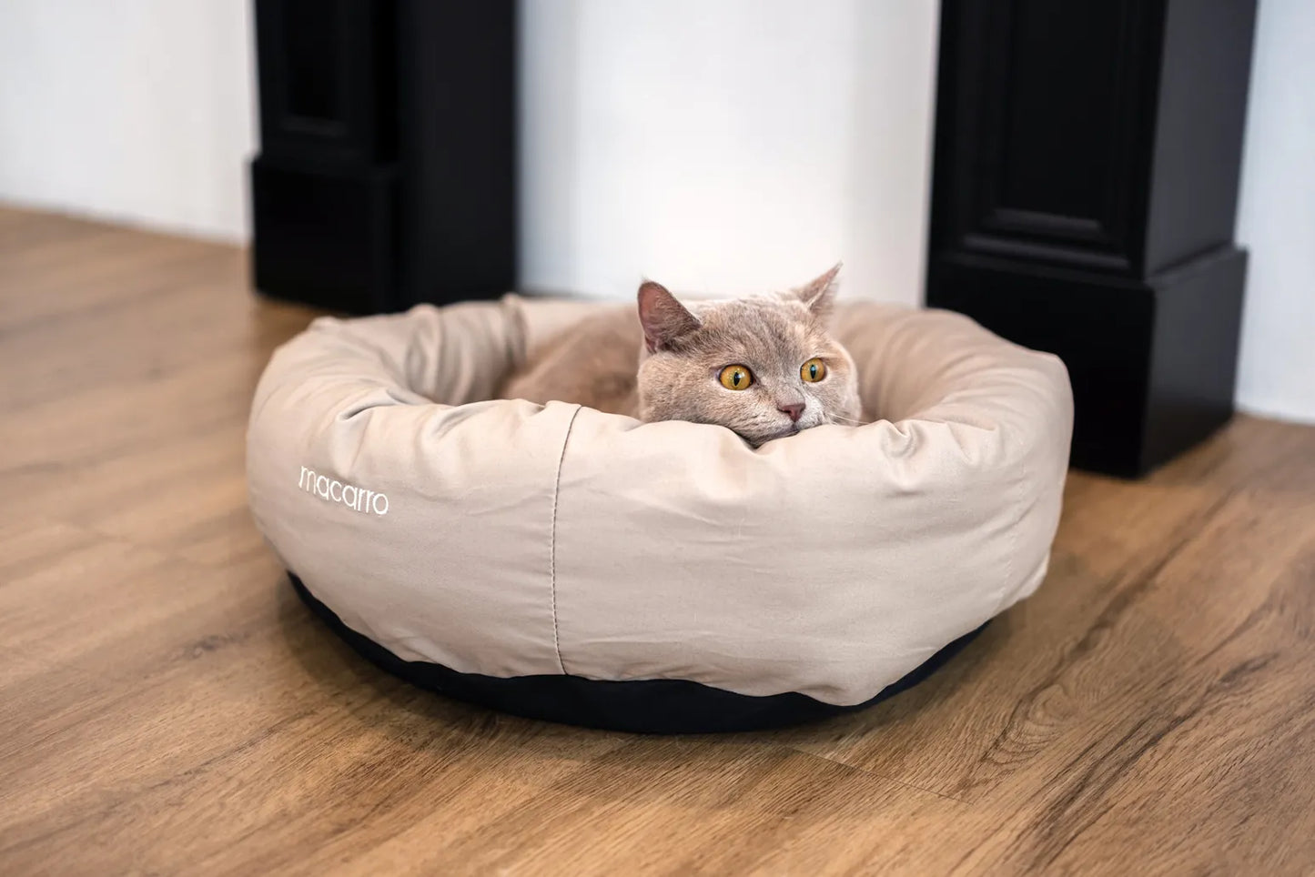 macarro Donut Pet Bed with LATEX Mattress