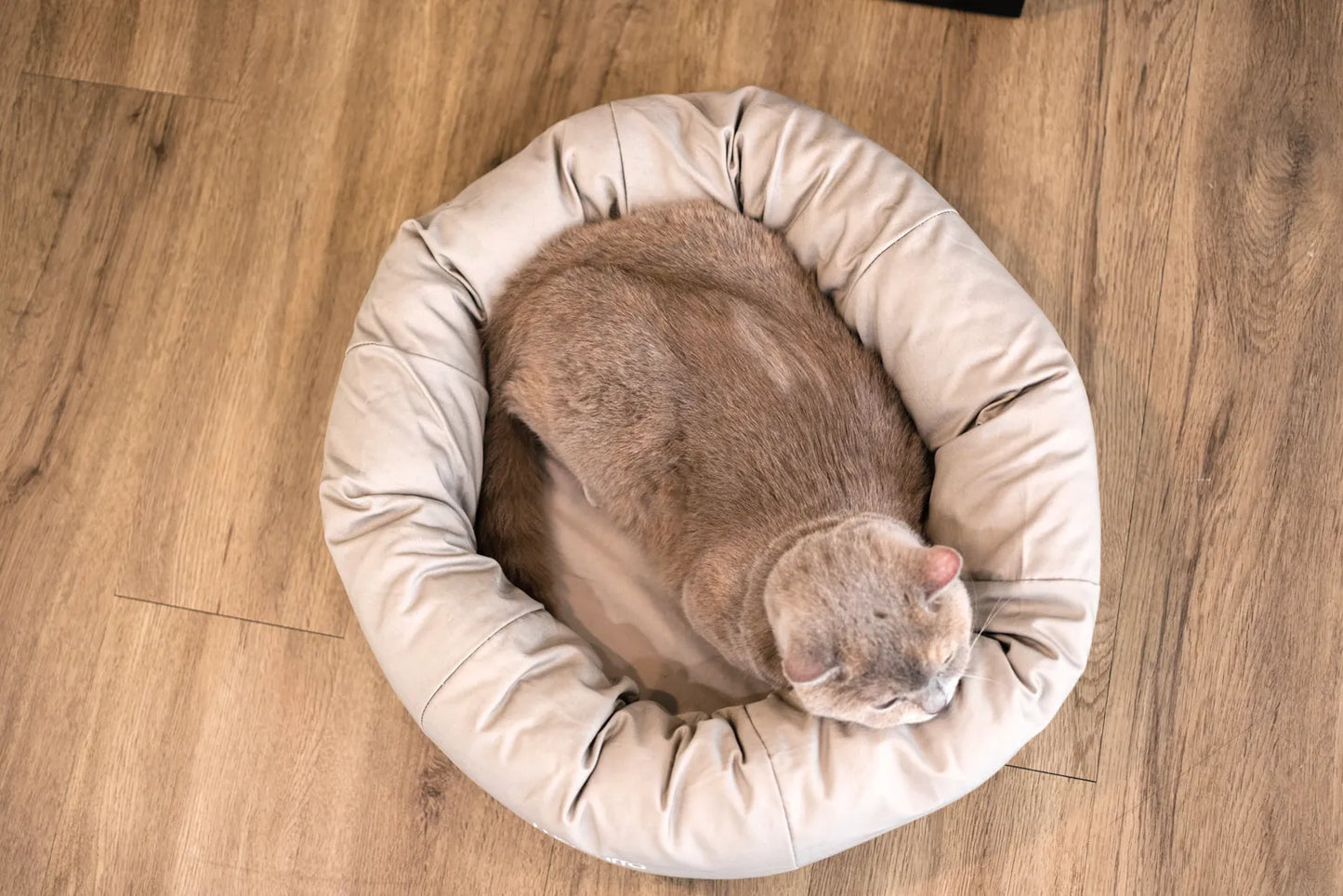 macarro Donut Pet Bed with LATEX Mattress