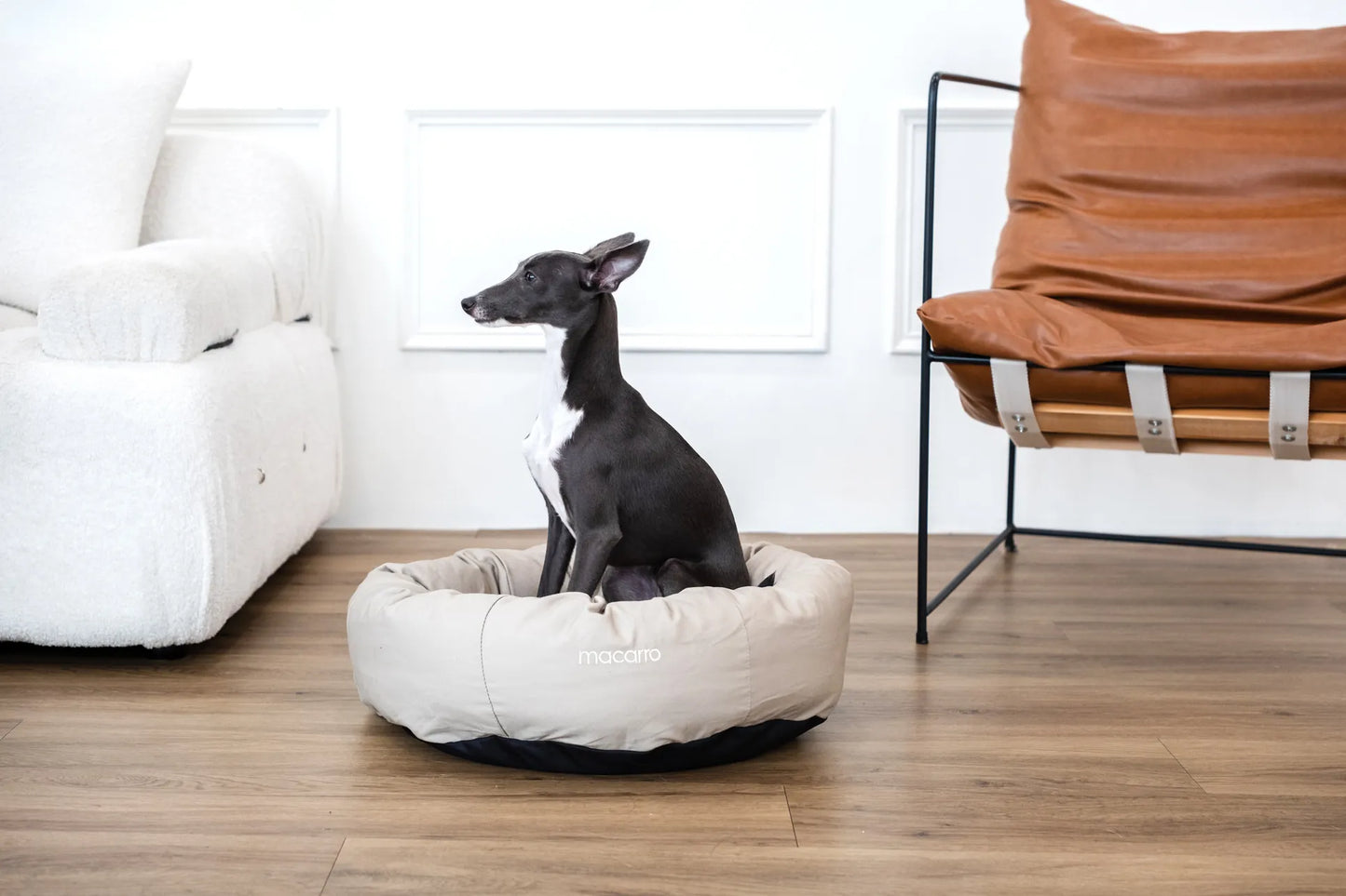 macarro Donut Pet Bed with LATEX Mattress
