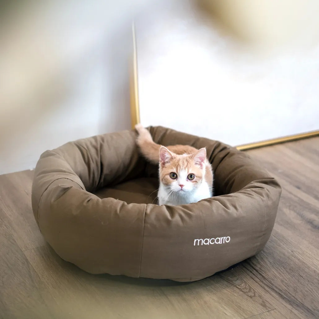 macarro Donut Pet Bed with LATEX Mattress