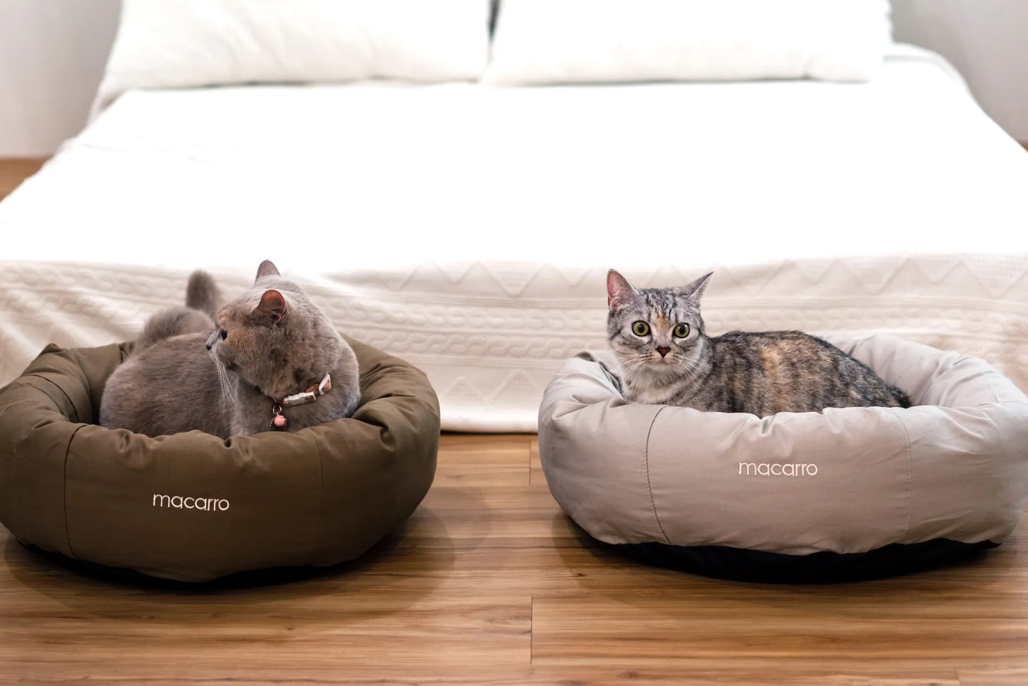macarro Donut Pet Bed with LATEX Mattress