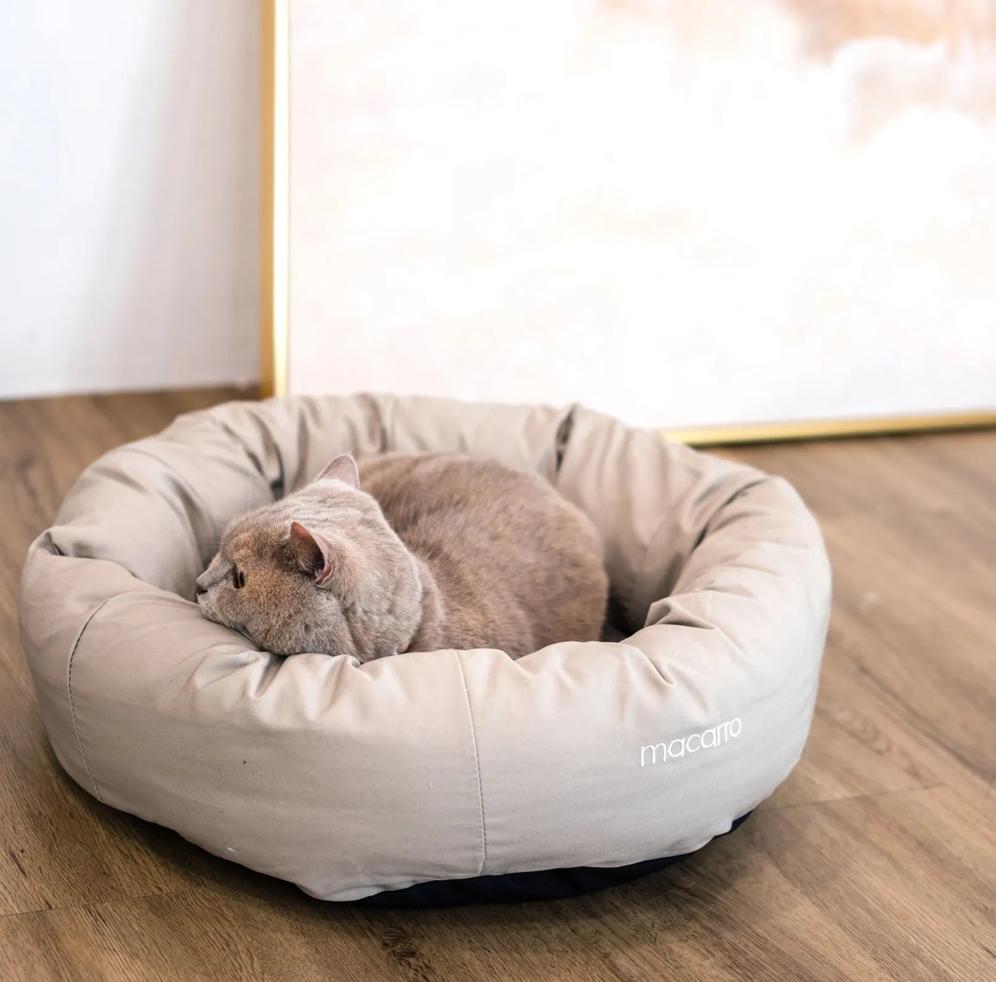 macarro Donut Pet Bed with LATEX Mattress