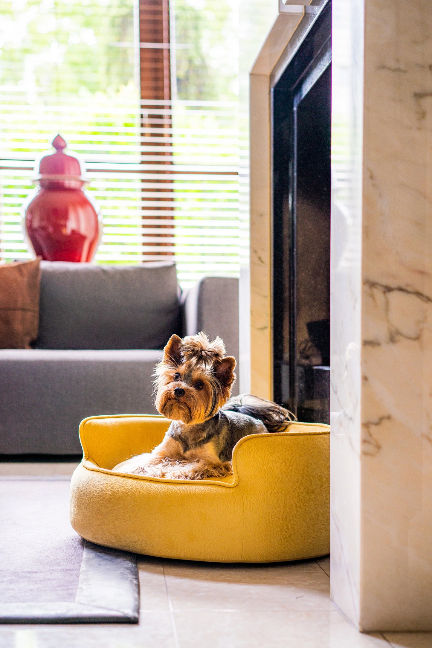YIN YANG Pet Sofa