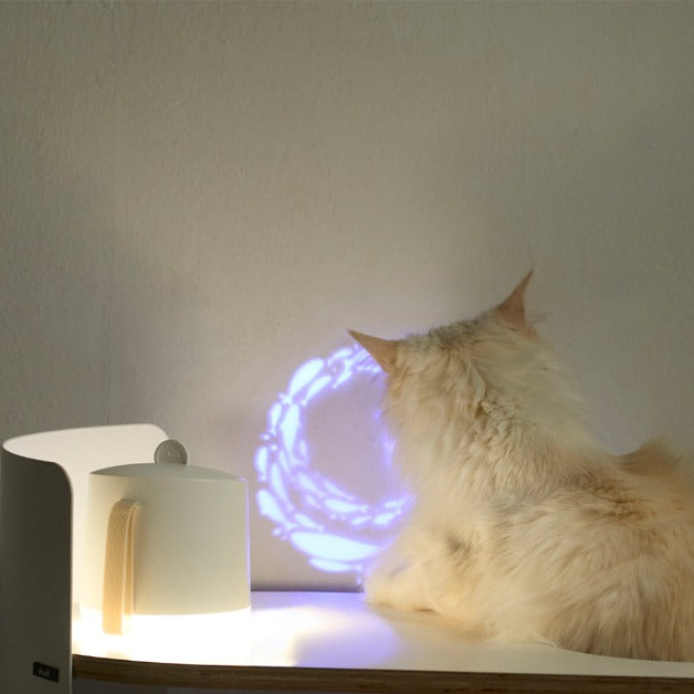Duit Kitty Cinema