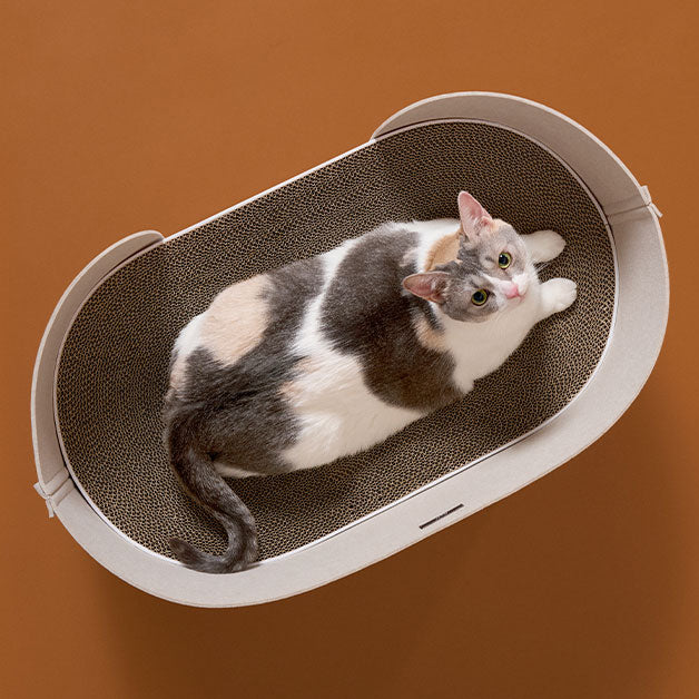 Duit All Day Basket Set