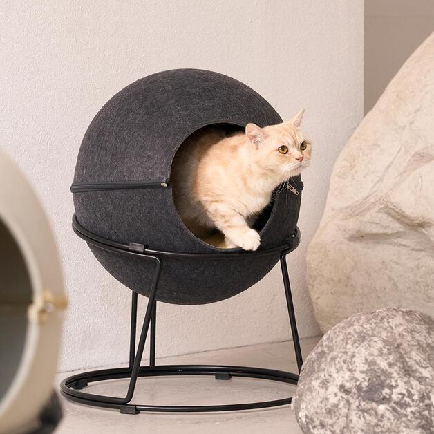 Duit Kitty-Stella