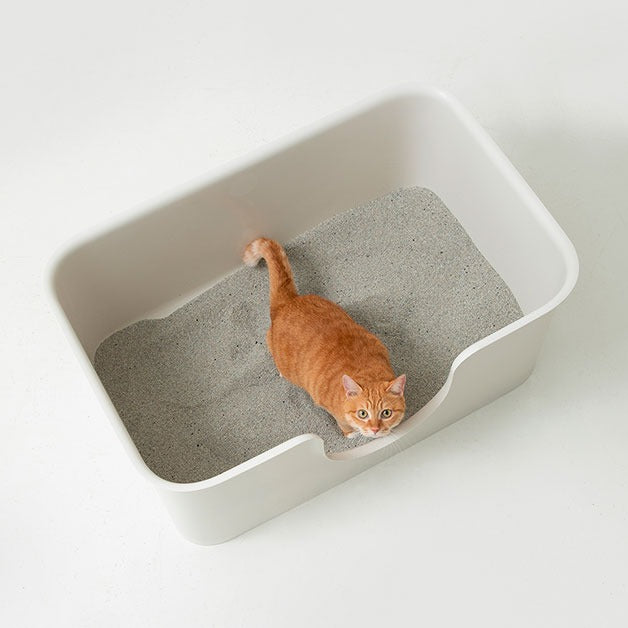 【巨型! 緬恩必備】Duit Poopoo Box Long - White