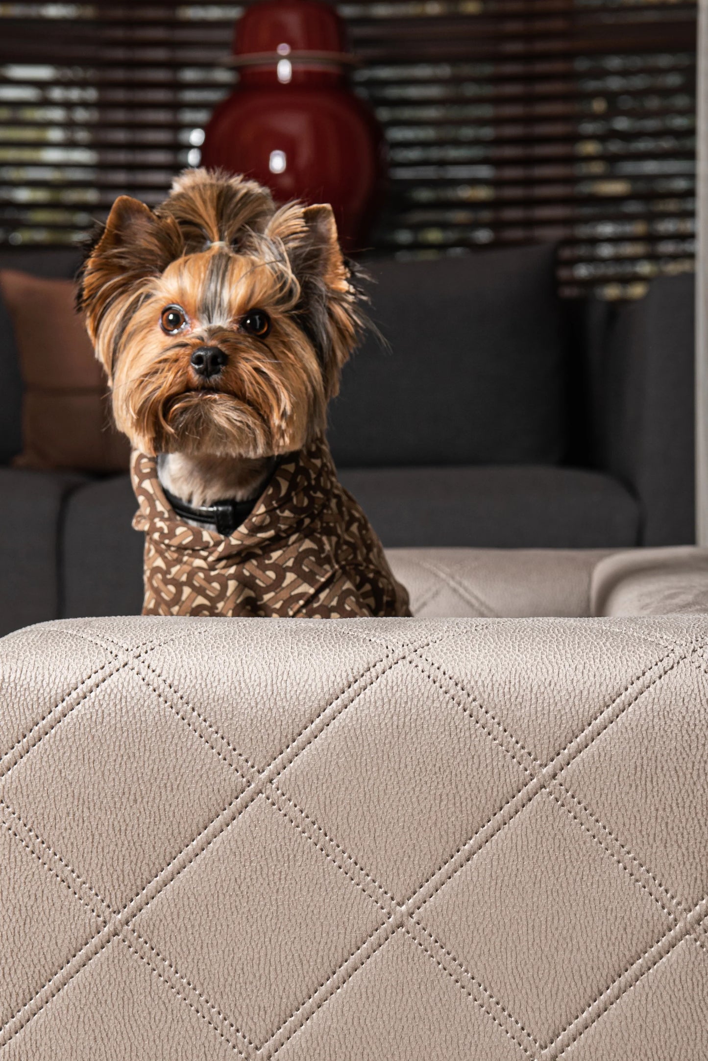 MYSTIQUE Pet Sofa