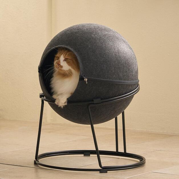 Duit Kitty-Stella