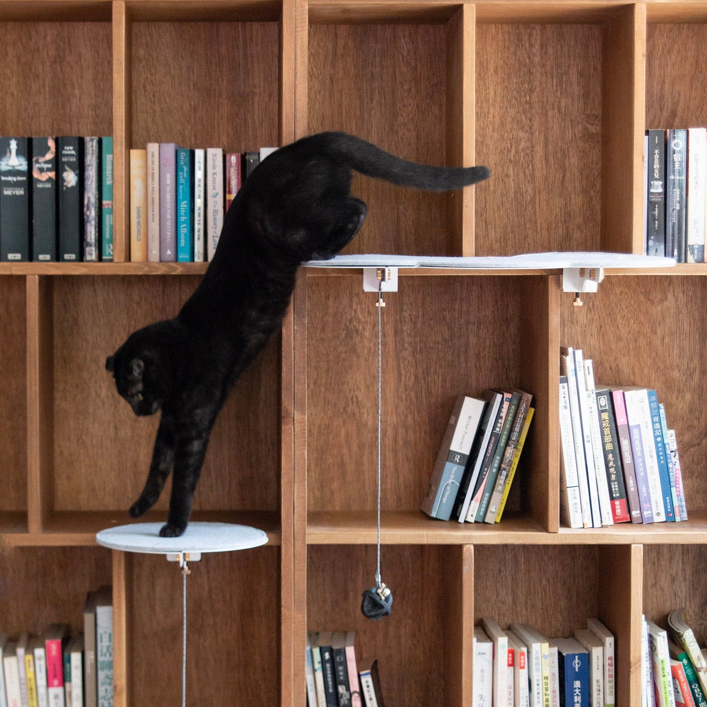 Catssup Floating Playground