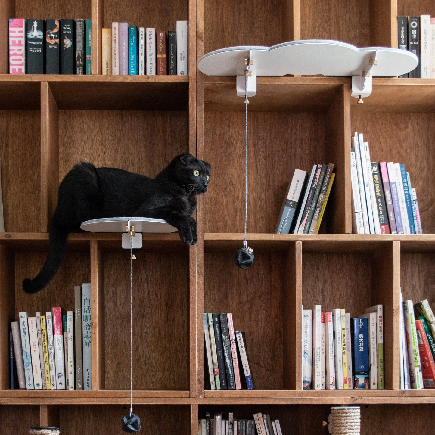 Catssup Floating Playground
