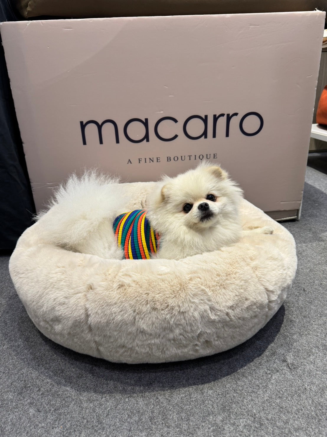 macarro 甜甜圈圓型寵物乳膠床 - 毛絨