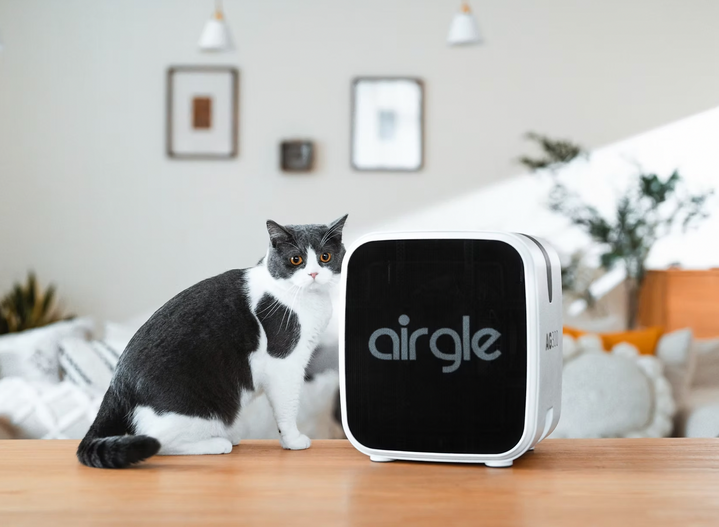 airgle AG300 空氣清新機 (Free 2 years warranty)