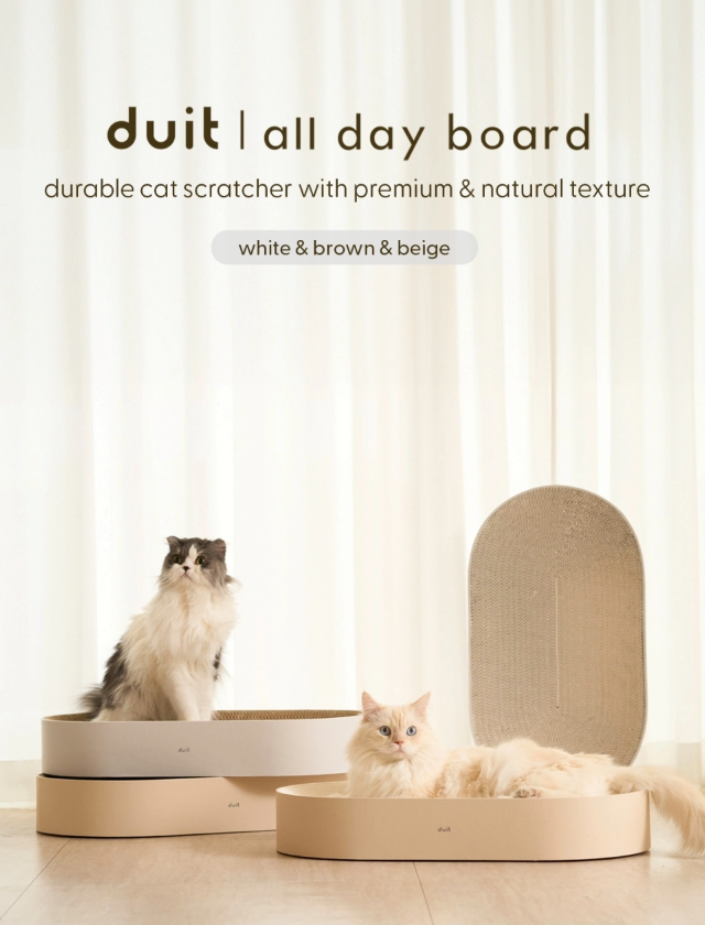 Duit All Day Board