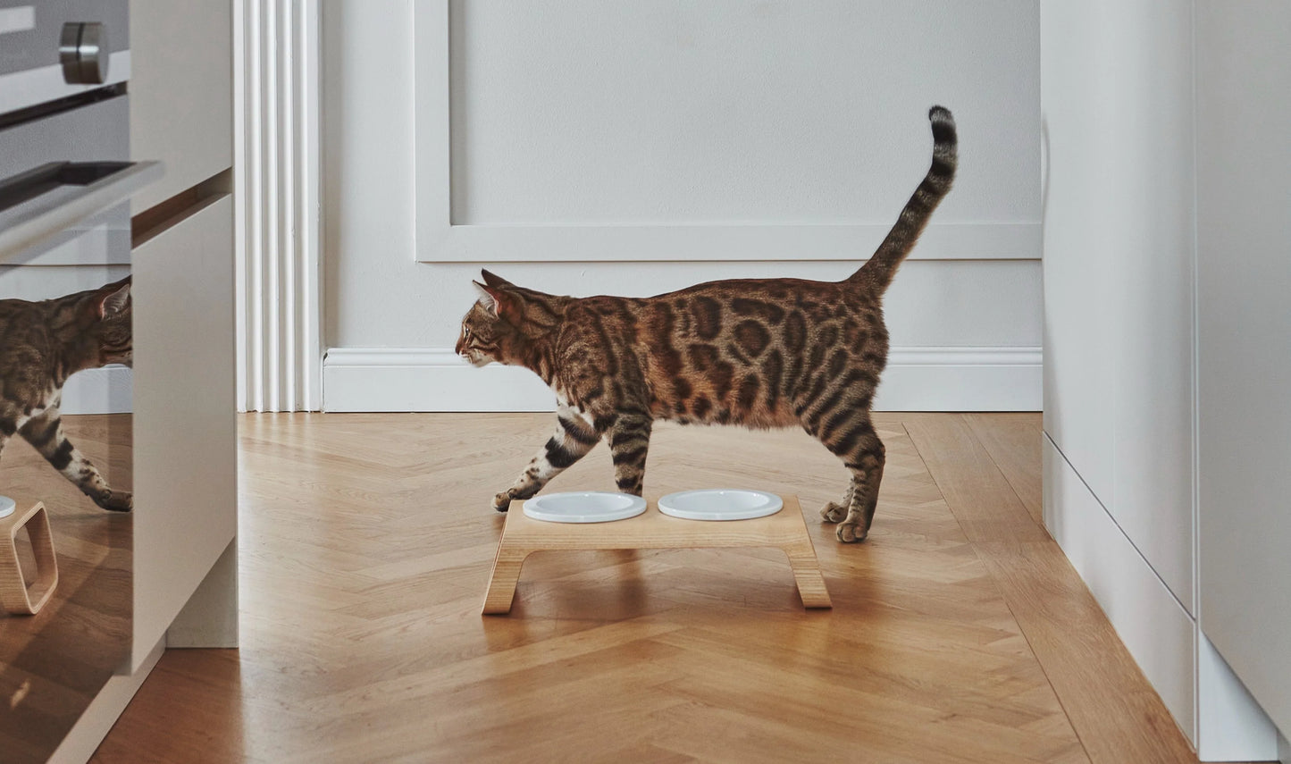 MiaCara Desco Cat Feeder