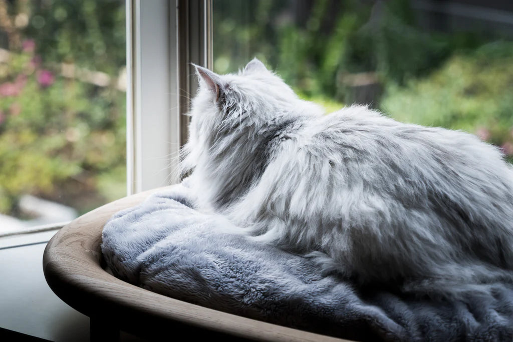 KARIMOKU CAT Bed