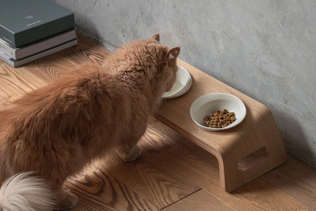 KARIMOKU CAT Table