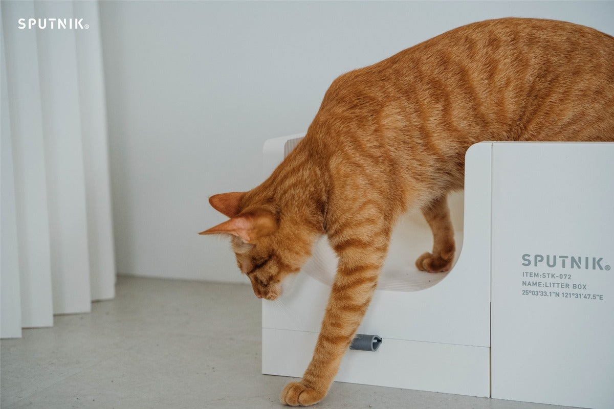 SPUNIK COZY︱Litter Box
