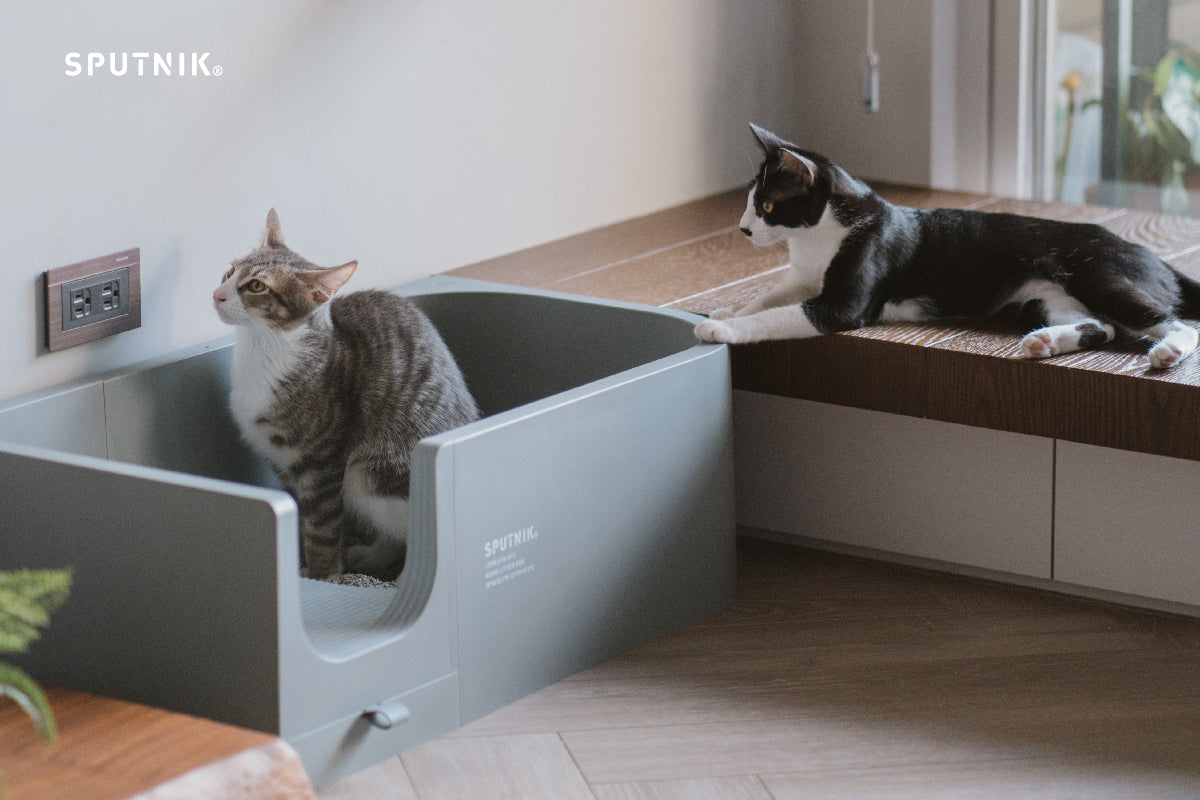 SPUNIK COZY︱Litter Box