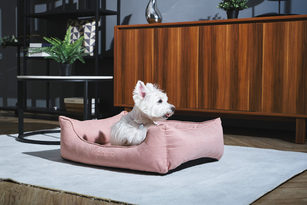 macarro Velvet Pet Bed with LATEX Mattress