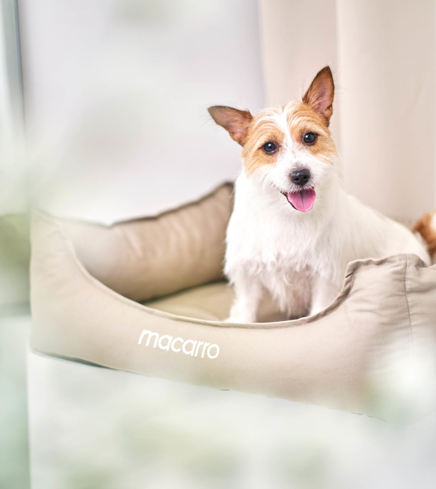 macarro Cotton Fabric Bed with LATEX Mattress