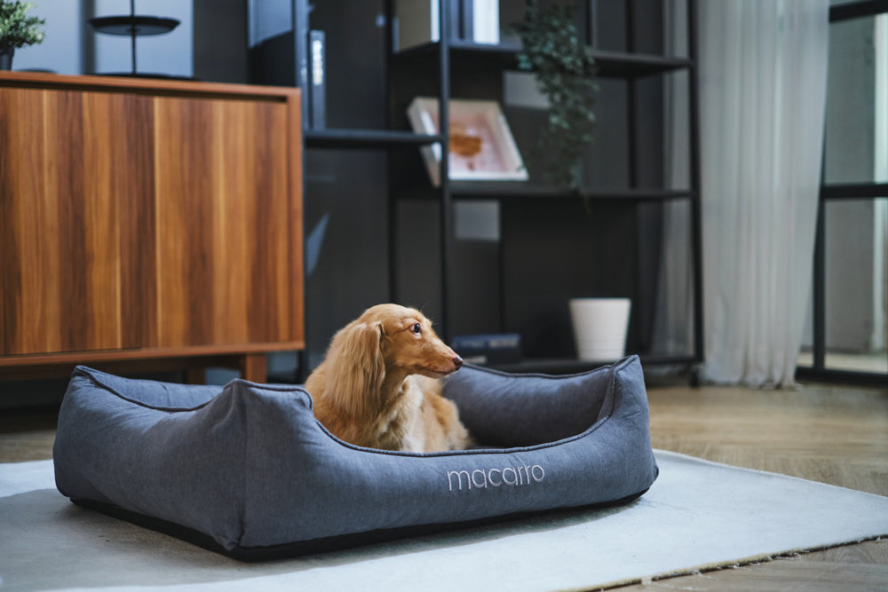 macarro Velvet Pet Bed with LATEX Mattress