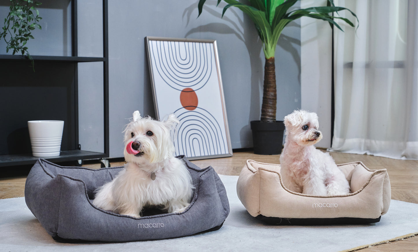 macarro Velvet Pet Bed with LATEX Mattress