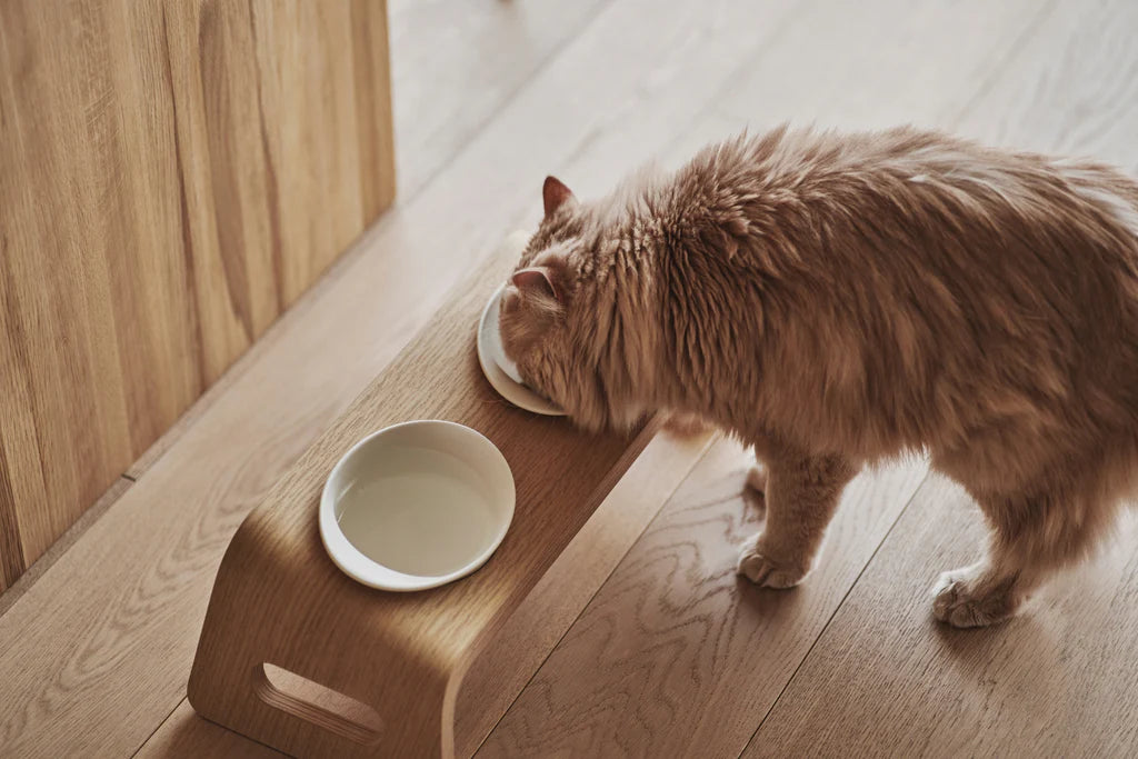 KARIMOKU CAT Table