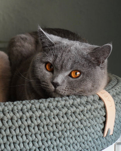 Labbvenn Coco Cat Basket