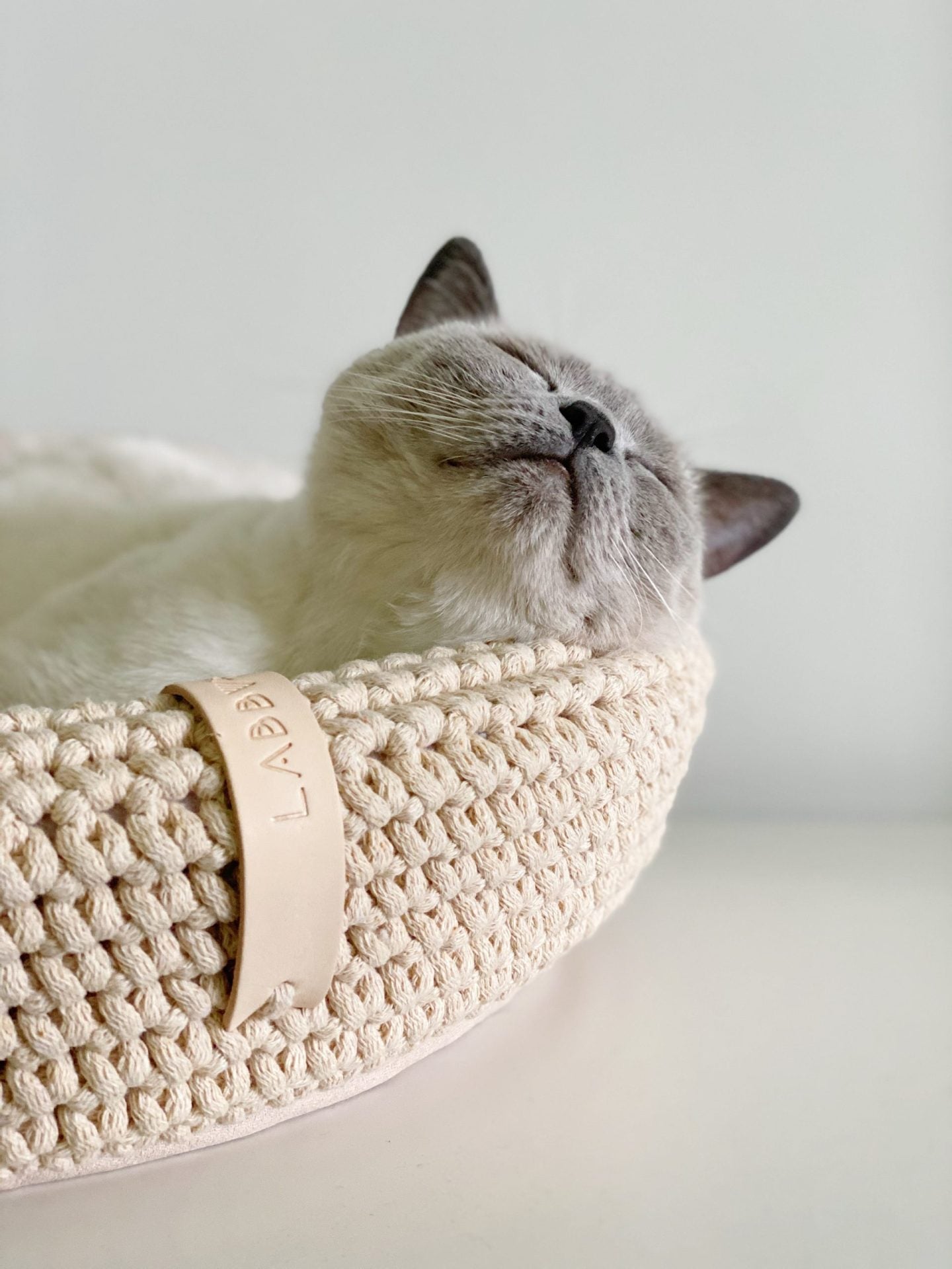 Labbvenn Coco Cat Basket