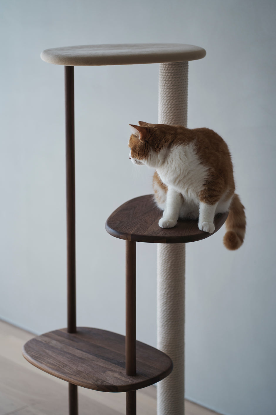 CLIMB 貓爬架 – Professor Cat