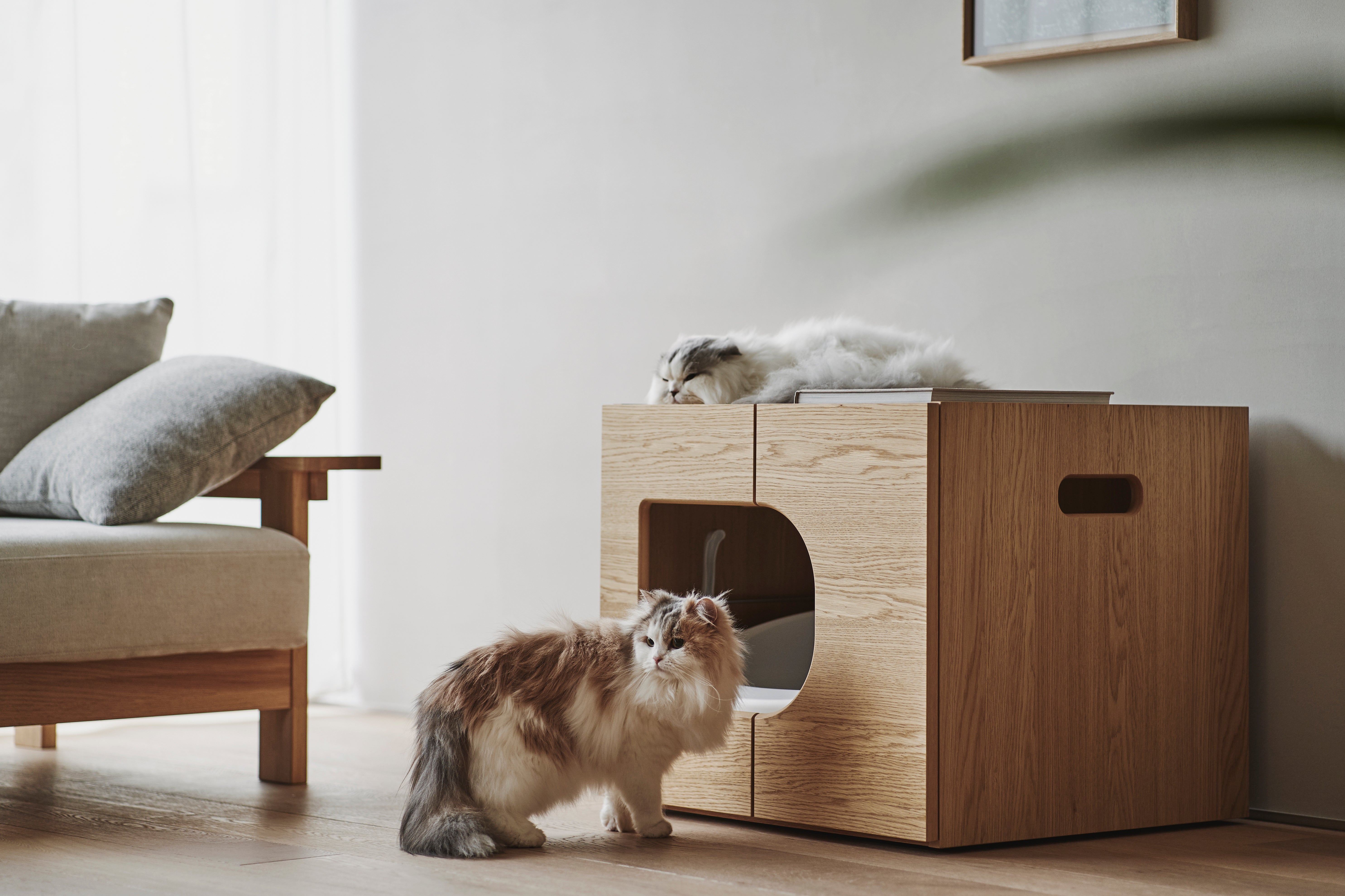 【美品】KARIMOKU CAT RESTROOM ウォールナットナチュラル KARIMOKU CAT RESTROOM – Professor Cat