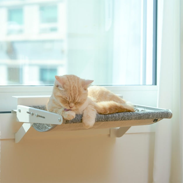 Duit Windows Hammock Set