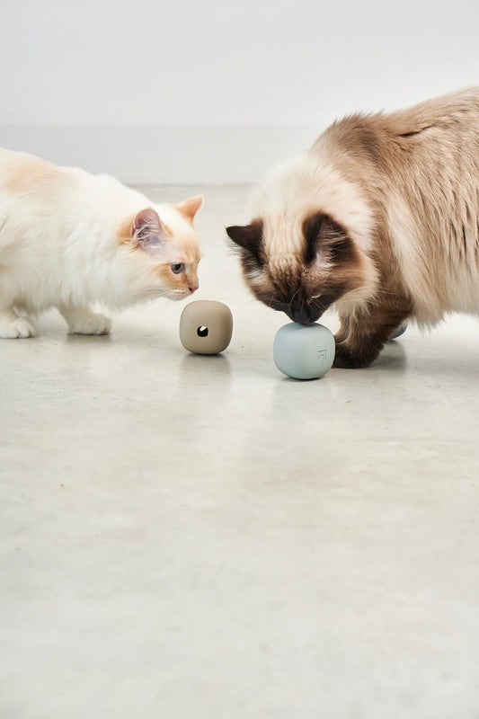 MiaCara Rotolo Activity Toy