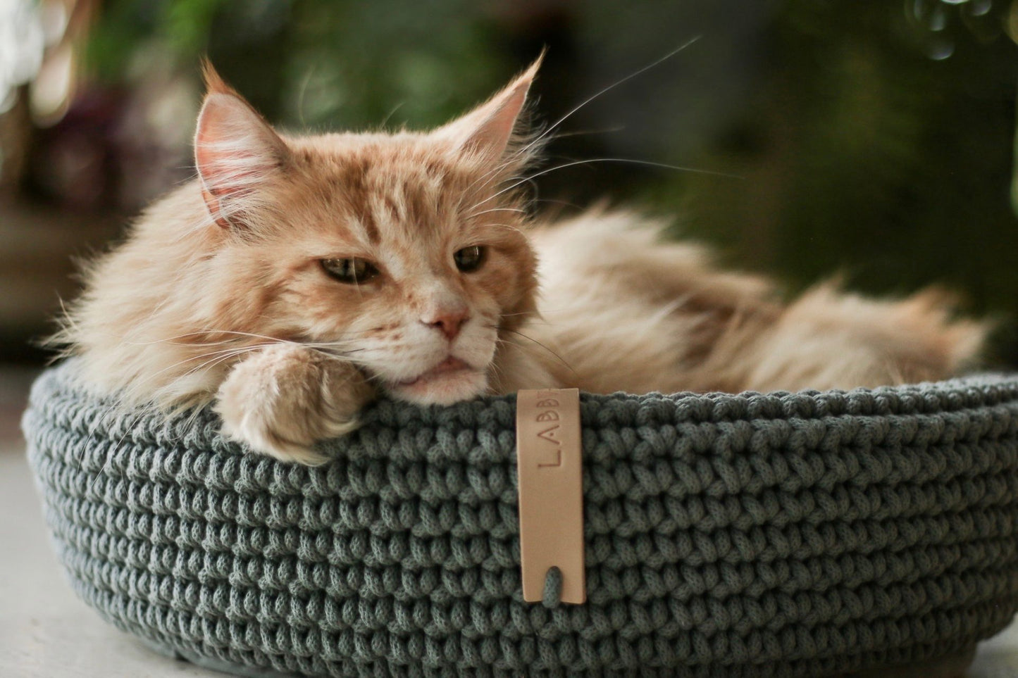 Labbvenn Coco Cat Basket