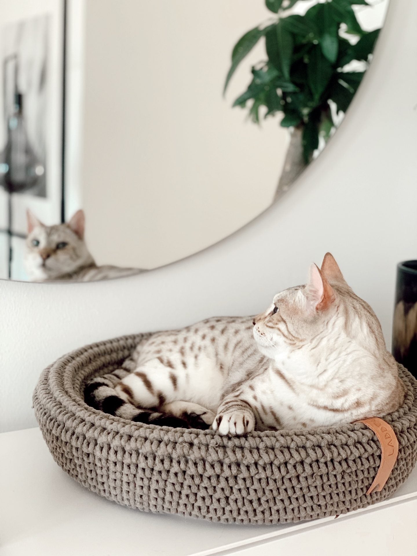 Labbvenn Coco Cat Basket