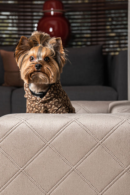 MYSTIQUE Pet Sofa