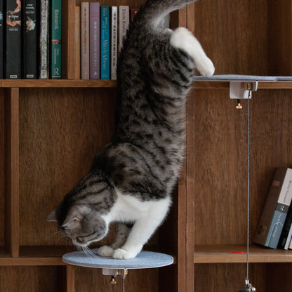 Catssup Floating Playground