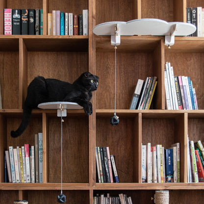 Catssup Floating Playground