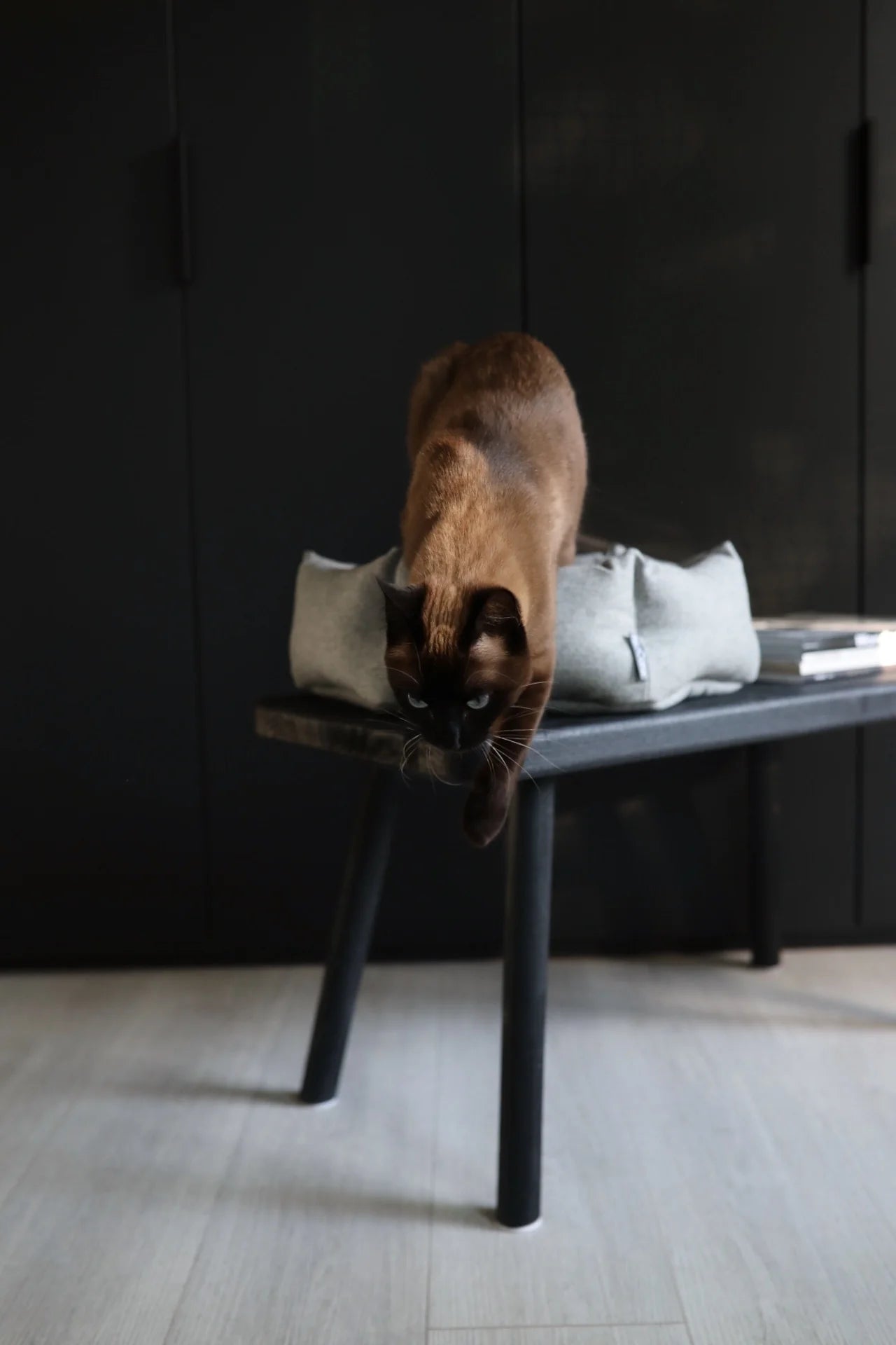 MiaCara Calma Bed Hexagon