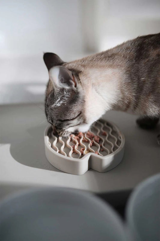 MiaCara Pesce Activity Toy